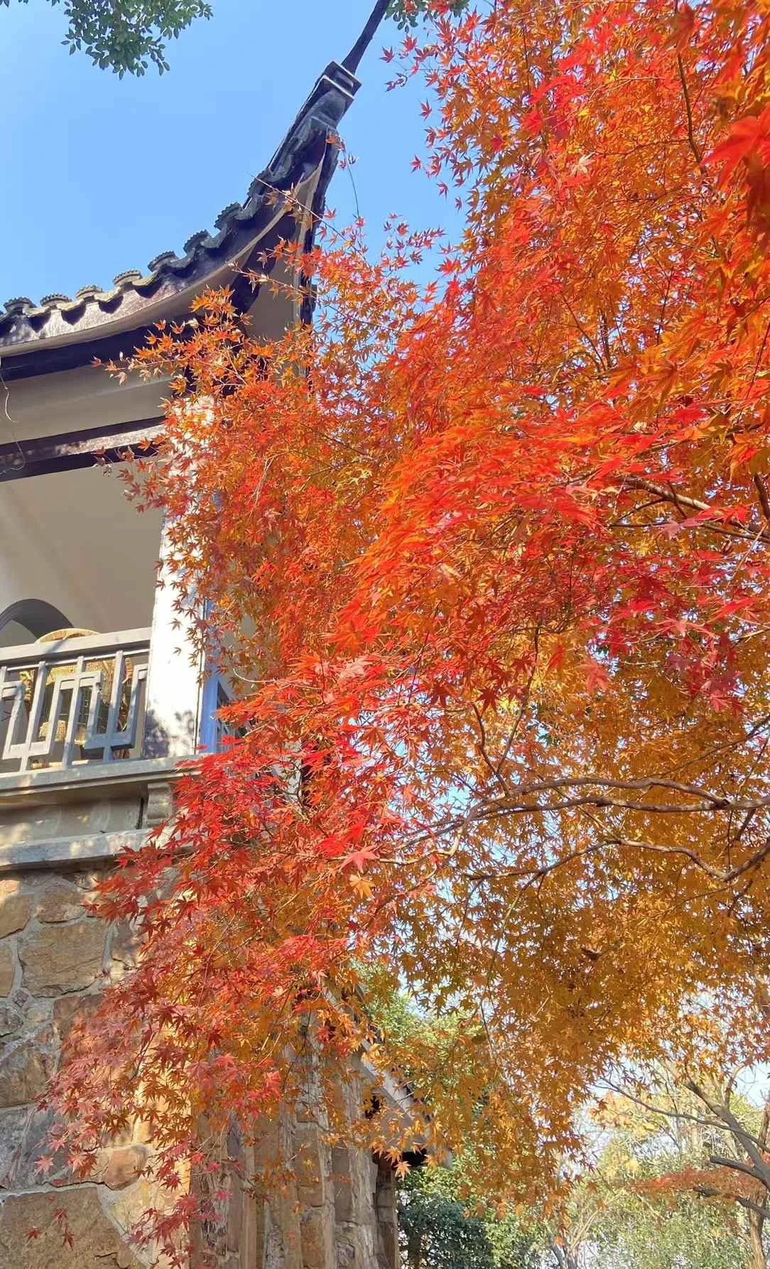 冬季团建